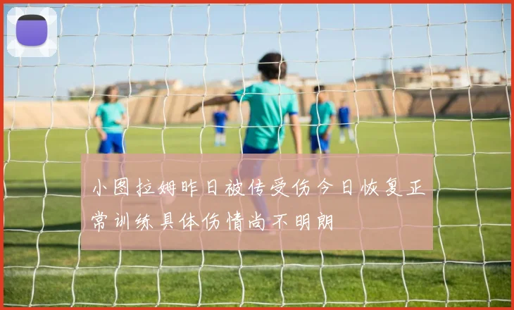 小图拉姆昨日被传受伤今日恢复正常训练具体伤情尚不明朗